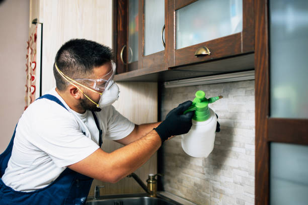 Best Affordable Pest Control Services  in Worthington, OH
