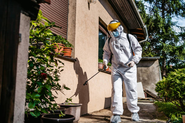 Best Rat Extermination Near Me  in Worthington, OH