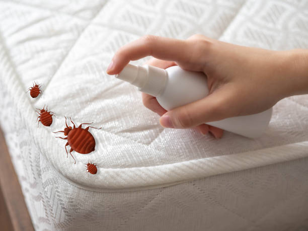 Best Mosquito Control Services  in Worthington, OH