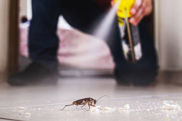 Best Ant Control Services  in Worthington, OH