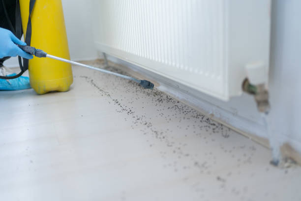 Best Best Pest Control Near Me  in Worthington, OH
