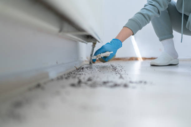 Best Flea Control Services  in Worthington, OH